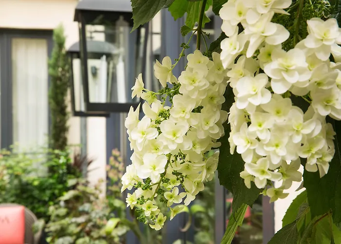 Hôtel Villa Madame - Saint-Germain-des-Prés Paris
